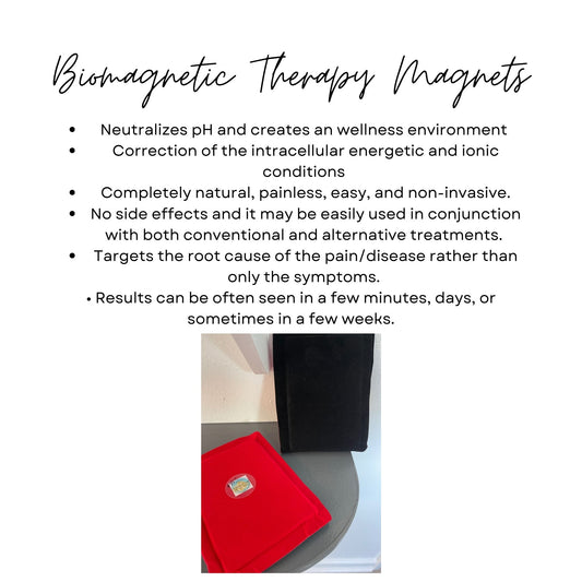 Biomagnetic Therapy Large Magnet Set