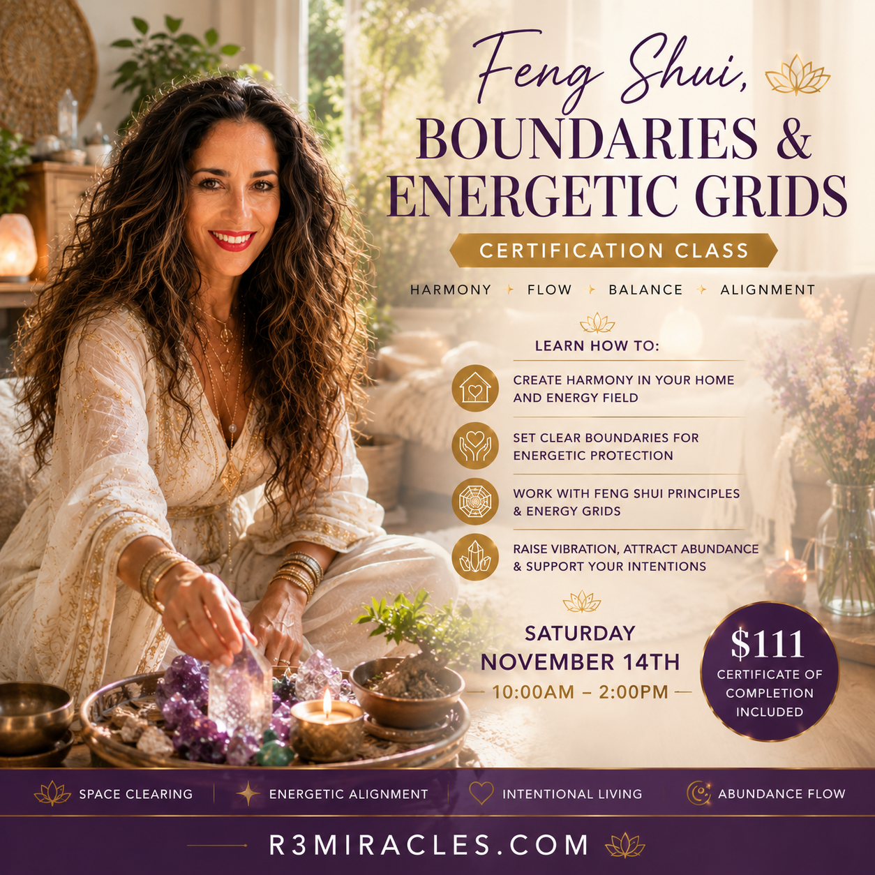 Feng Shui, Boundaries & Energetic Grids Certification Saturday November 14th 10:00am-2:00pm
