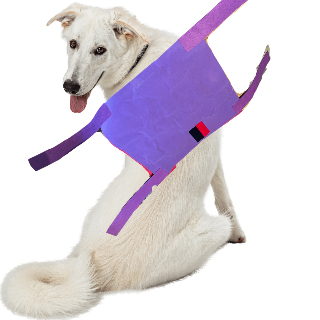 Magic Magnet Blankets for Children, Adults and Pets