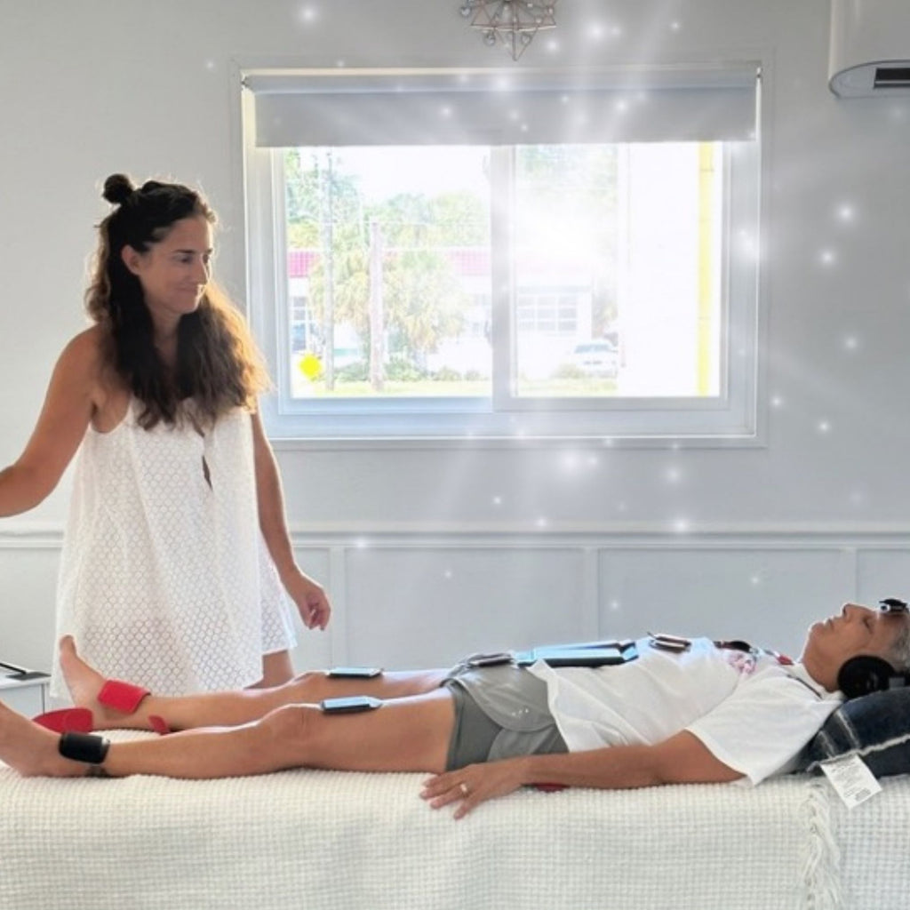 Biomagnetic Therapy Large Magnet Set