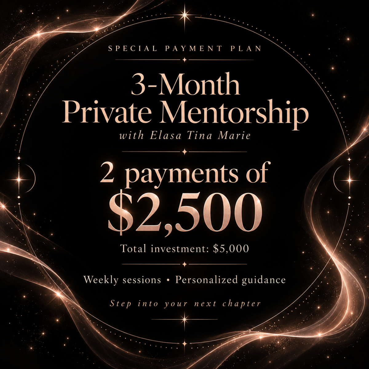 $2500 Mentorship Payment Plan for 1/2