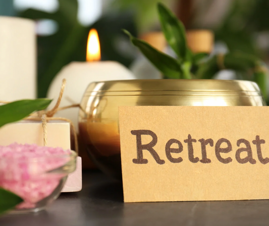 From Overstimulated to Regulated: A Nervous System Day Retreat 2/7/26 Saturday