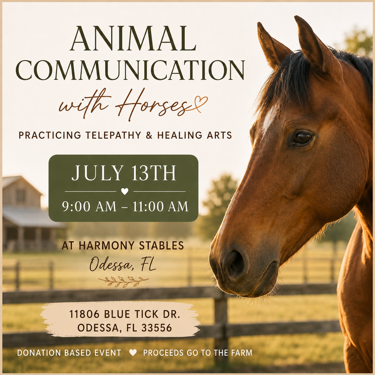 Animals Communication with Horses at Harmony Stables Monday 9am