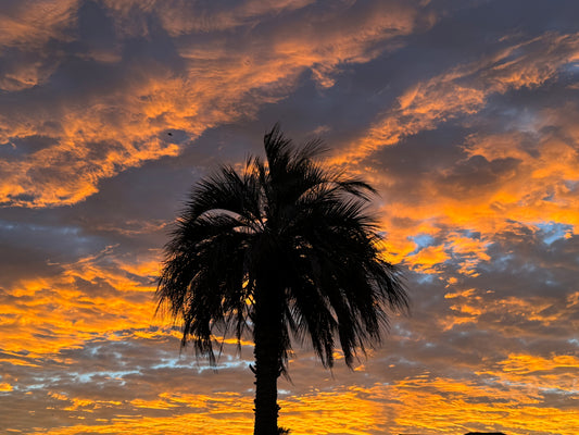 Super Sunday Breathwork with Sergei  February 8 | 9:00–10:30 AM