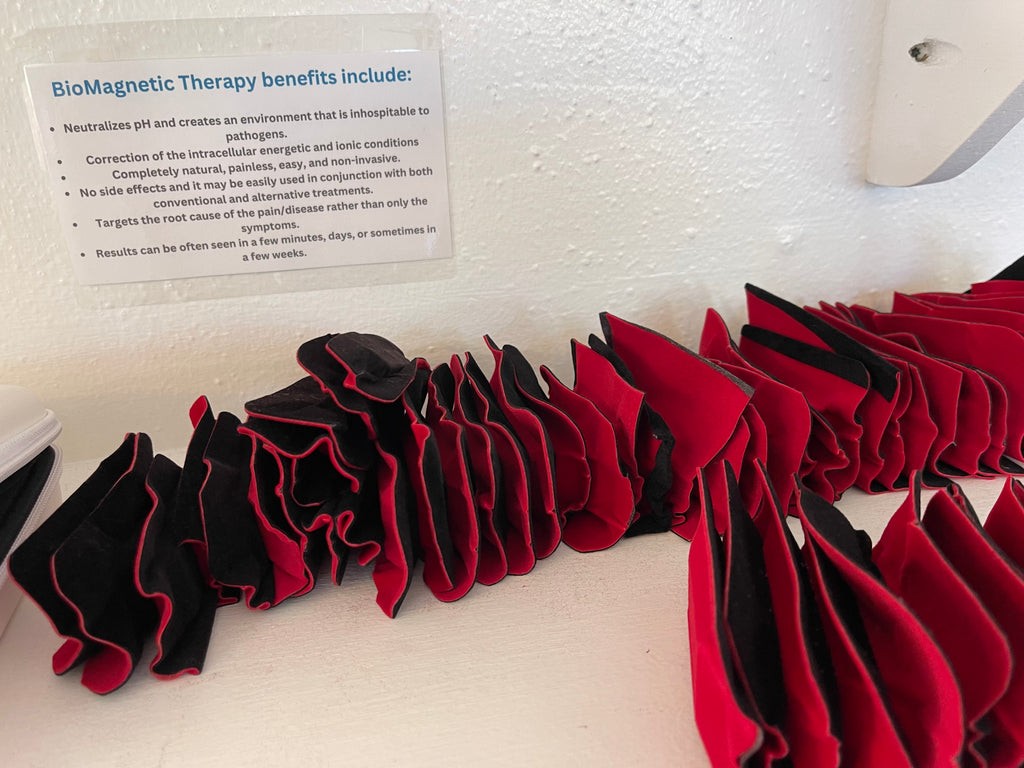 BioMagnetic Therapy Magnet Sets (20 ct)