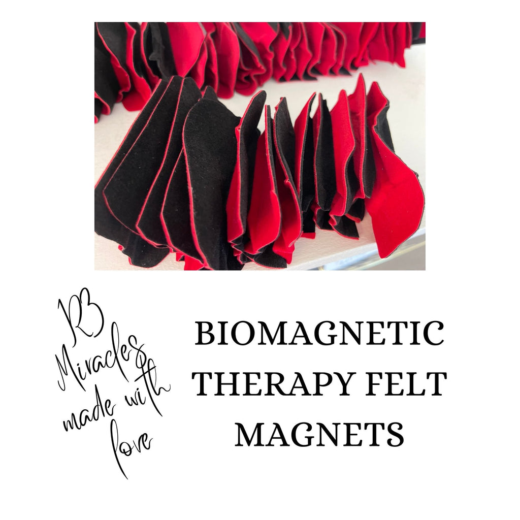Biomagnetic Therapy Large Magnet Set